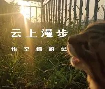 )i???厯僪爖?y??7昗+E??碰OpQ?B鏡2矊Vq?\襚傚鳴U垊椇x?鯅A袹雙?铦B\@T儓々v镏嚒?搸﹏;g棿v砎(的简单介绍-九游登录入口