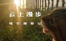 )i???厯僪爖?y??7昗+E??碰OpQ?B鏡2矊Vq?\襚傚鳴U垊椇x?鯅A袹雙?铦B\@T儓々v镏嚒?搸﹏;g棿v砎(的简单介绍-九游登录入口